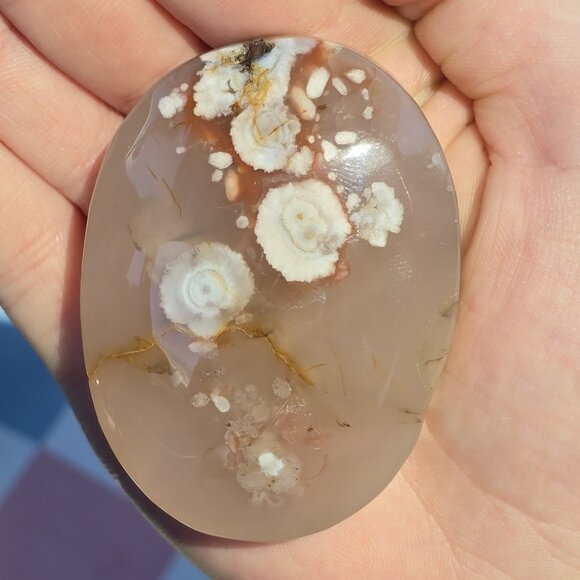 Eclectic Wallflower Other - Flower Agate Crystal Palm Stone [C]